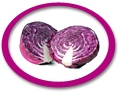 Cabbage Juice Concentrate USA