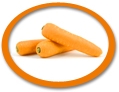 Carrot Juice Concentrate USA