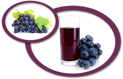 Concord Grape Juice Concentrate USA