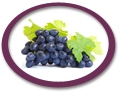 Concord Grape Juice Concentrate USA