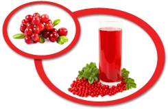 Cranberry Juice Concentrate USA